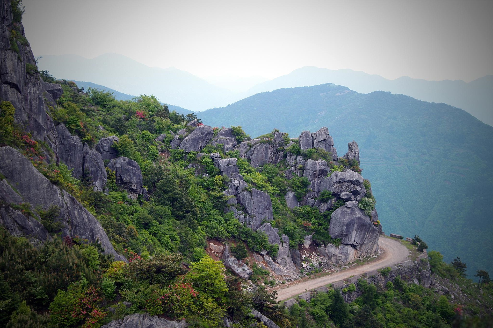 Gupo Mountain Forest Park